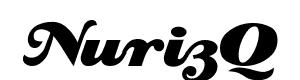 Logo NurizQ